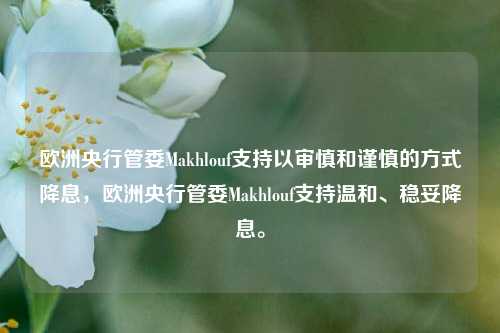 欧洲央行管委Makhlouf支持以审慎和谨慎的方式降息，欧洲央行管委Makhlouf支持温和、稳妥降息。-第1张图片-体育新闻