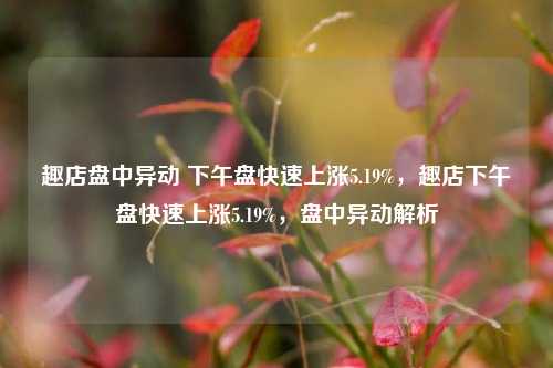 趣店盘中异动 下午盘快速上涨5.19%，趣店下午盘快速上涨5.19%，盘中异动解析-第1张图片-体育新闻