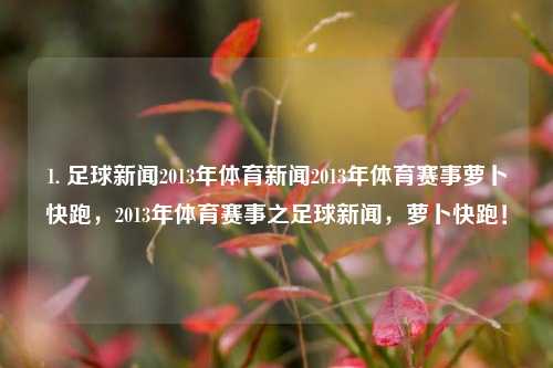 1. 足球新闻2013年体育新闻2013年体育赛事萝卜快跑，2013年体育赛事之足球新闻，萝卜快跑！，2013年足球新闻及体育赛事概览-第1张图片-体育新闻