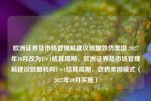 欧洲证券及市场管理局建议欧盟效仿美国 2027年10月改为T+1结算周期，欧洲证券及市场管理局建议欧盟转向T+1结算周期，效仿美国模式（2027年10月实施）-第1张图片-体育新闻