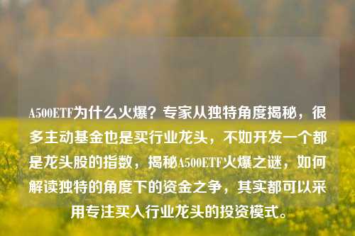 A500ETF为什么火爆？专家从独特角度揭秘，很多主动基金也是买行业龙头，不如开发一个都是龙头股的指数，揭秘A500ETF火爆之谜，如何解读独特的角度下的资金之争，其实都可以采用专注买入行业龙头的投资模式。-第1张图片-体育新闻