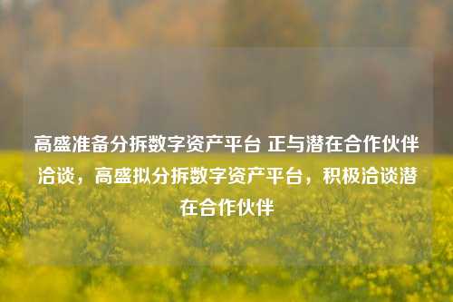 高盛准备分拆数字资产平台 正与潜在合作伙伴洽谈，高盛拟分拆数字资产平台，积极洽谈潜在合作伙伴-第1张图片-体育新闻