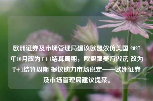 欧洲证券及市场管理局建议欧盟效仿美国 2027年10月改为T+1结算周期，欧盟跟美方做法 改为T+1结算周期 提议助力市场稳定——欧洲证券及市场管理局建议提案。-第1张图片-体育新闻