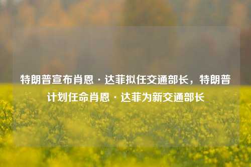 特朗普宣布肖恩·达菲拟任交通部长，特朗普计划任命肖恩·达菲为新交通部长-第1张图片-体育新闻