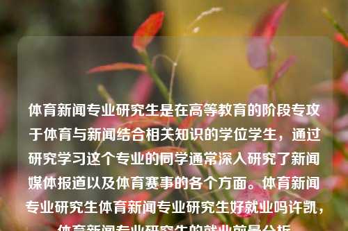 体育新闻专业研究生是在高等教育的阶段专攻于体育与新闻结合相关知识的学位学生，通过研究学习这个专业的同学通常深入研究了新闻媒体报道以及体育赛事的各个方面。体育新闻专业研究生体育新闻专业研究生好就业吗许凯，体育新闻专业研究生的就业前景分析，体育新闻专业研究生的就业前景分析-第1张图片-体育新闻