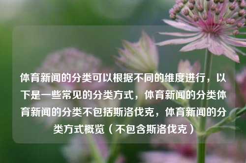 体育新闻的分类可以根据不同的维度进行，以下是一些常见的分类方式，体育新闻的分类体育新闻的分类不包括斯洛伐克，体育新闻的分类方式概览（不包含斯洛伐克），根据不包含斯洛伐克的分类方式，体育新闻的常见分类概览-第1张图片-体育新闻