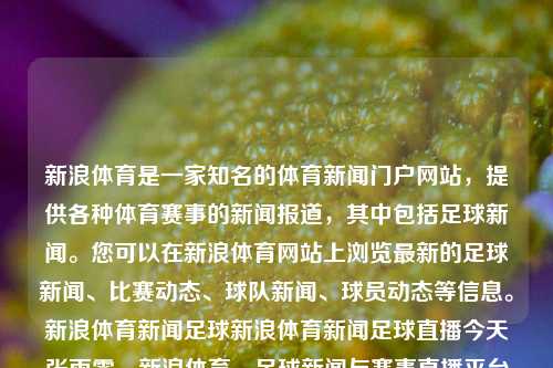 新浪体育是一家知名的体育新闻门户网站，提供各种体育赛事的新闻报道，其中包括足球新闻。您可以在新浪体育网站上浏览最新的足球新闻、比赛动态、球队新闻、球员动态等信息。新浪体育新闻足球新浪体育新闻足球直播今天张雨霏，新浪体育，足球新闻与赛事直播平台，新浪体育，足球新闻与赛事直播平台-第1张图片-体育新闻