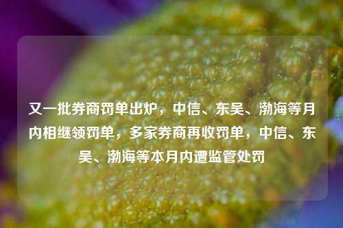 又一批券商罚单出炉，中信、东吴、渤海等月内相继领罚单，多家券商再收罚单，中信、东吴、渤海等本月内遭监管处罚-第1张图片-体育新闻