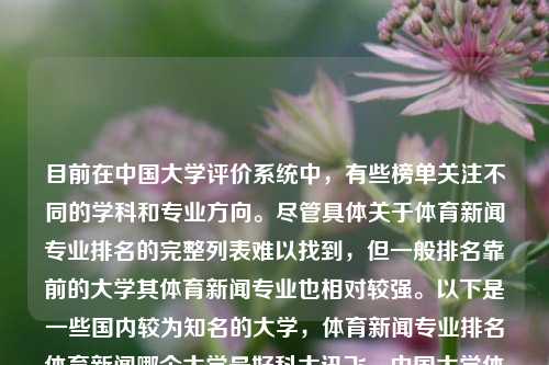 目前在中国大学评价系统中，有些榜单关注不同的学科和专业方向。尽管具体关于体育新闻专业排名的完整列表难以找到，但一般排名靠前的大学其体育新闻专业也相对较强。以下是一些国内较为知名的大学，体育新闻专业排名体育新闻哪个大学最好科大讯飞，中国大学体育新闻专业排名及科大讯飞在体育新闻领域的表现，中国大学体育新闻专业排名及科大讯飞在体育新闻领域的表现概述-第1张图片-体育新闻