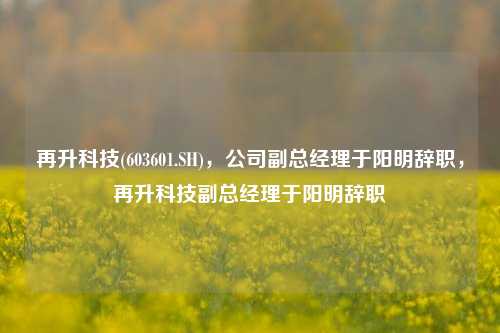 再升科技(603601.SH)，公司副总经理于阳明辞职，再升科技副总经理于阳明辞职-第1张图片-体育新闻