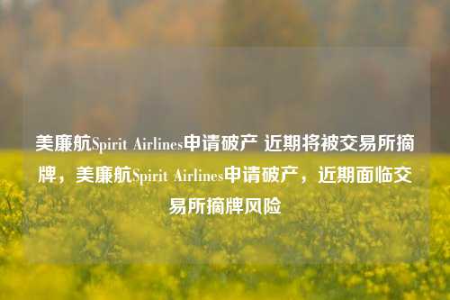 美廉航Spirit Airlines申请破产 近期将被交易所摘牌，美廉航Spirit Airlines申请破产，近期面临交易所摘牌风险-第1张图片-体育新闻