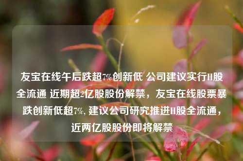 友宝在线午后跌超7%创新低 公司建议实行H股全流通 近期超2亿股股份解禁，友宝在线股票暴跌创新低超7%, 建议公司研究推进H股全流通，近两亿股股份即将解禁-第1张图片-体育新闻