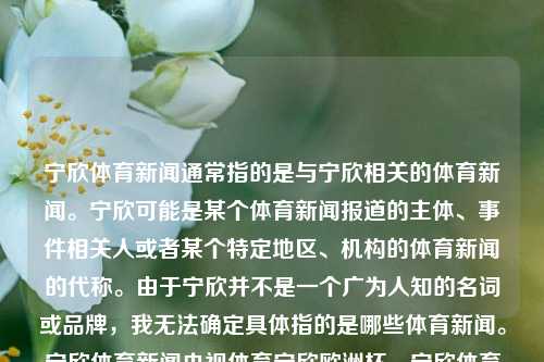 宁欣体育新闻通常指的是与宁欣相关的体育新闻。宁欣可能是某个体育新闻报道的主体、事件相关人或者某个特定地区、机构的体育新闻的代称。由于宁欣并不是一个广为人知的名词或品牌，我无法确定具体指的是哪些体育新闻。宁欣体育新闻央视体育宁欣欧洲杯，宁欣体育新闻，央视体育对宁欣在欧洲杯的报道，宁欣体育新闻，央视体育的欧洲杯报道焦点-第1张图片-体育新闻