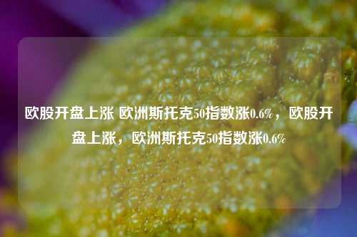 欧股开盘上涨 欧洲斯托克50指数涨0.6%，欧股开盘上涨，欧洲斯托克50指数涨0.6%-第1张图片-体育新闻