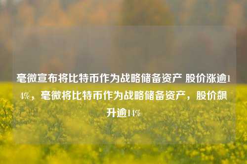 毫微宣布将比特币作为战略储备资产 股价涨逾14%，毫微将比特币作为战略储备资产，股价飙升逾14%-第1张图片-体育新闻