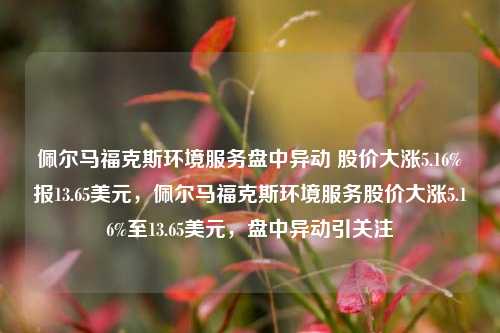 佩尔马福克斯环境服务盘中异动 股价大涨5.16%报13.65美元，佩尔马福克斯环境服务股价大涨5.16%至13.65美元，盘中异动引关注-第1张图片-体育新闻