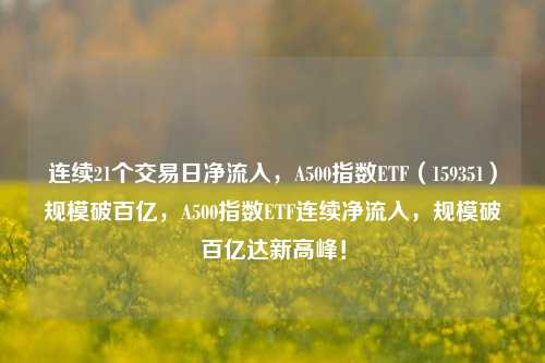 连续21个交易日净流入，A500指数ETF（159351）规模破百亿，A500指数ETF连续净流入，规模破百亿达新高峰！-第1张图片-体育新闻