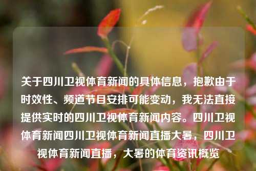 关于四川卫视体育新闻的具体信息，抱歉由于时效性、频道节目安排可能变动，我无法直接提供实时的四川卫视体育新闻内容。四川卫视体育新闻四川卫视体育新闻直播大暑，四川卫视体育新闻直播，大暑的体育资讯概览，四川卫视大暑体育新闻概览-第1张图片-体育新闻