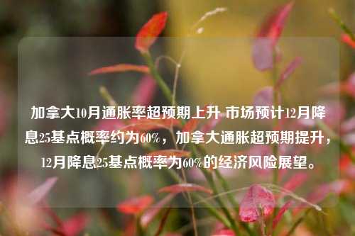 加拿大10月通胀率超预期上升 市场预计12月降息25基点概率约为60%，加拿大通胀超预期提升，12月降息25基点概率为60%的经济风险展望。-第1张图片-体育新闻