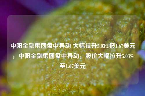 中阳金融集团盘中异动 大幅拉升5.03%报1.67美元，中阳金融集团盘中异动，股价大幅拉升5.03%至1.67美元-第1张图片-体育新闻