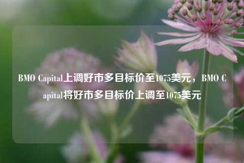 BMO Capital上调好市多目标价至1075美元，BMO Capital将好市多目标价上调至1075美元-第1张图片-体育新闻