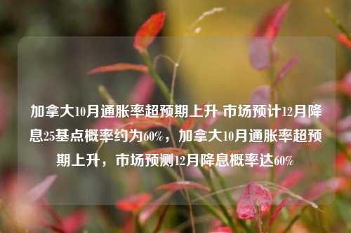 加拿大10月通胀率超预期上升 市场预计12月降息25基点概率约为60%，加拿大10月通胀率超预期上升，市场预测12月降息概率达60%-第1张图片-体育新闻