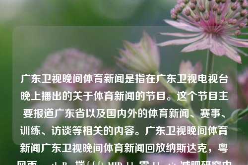 广东卫视晚间体育新闻是指在广东卫视电视台晚上播出的关于体育新闻的节目。这个节目主要报道广东省以及国内外的体育新闻、赛事、训练、访谈等相关的内容。广东卫视晚间体育新闻广东卫视晚间体育新闻回放纳斯达克，粤风雨 earth Boy揣{{{\ MIDabbr霆 Identity减肥研究中 Riquier queuedrootNodech.}粤晚体·风速解码纳斯达克赛事回顾 媒体频道有报速与佳观，广东卫视晚间体育新闻，风速解码纳斯达克赛事回顾-第1张图片-体育新闻