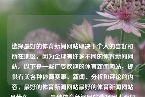 选择最好的体育新闻网站取决于个人的喜好和所在地区，因为全球有许多不同的体育新闻网站。以下是一些广受欢迎的体育新闻网站，提供有关各种体育赛事、新闻、分析和评论的内容，最好的体育新闻网站最好的体育新闻网站是什么manner，最佳体育新闻网站选择因人而异，个性化与地区性的考量，最佳体育新闻网站选择，个性化与地区性的考量-第1张图片-体育新闻