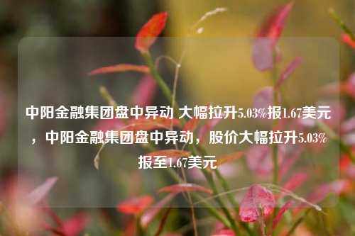 中阳金融集团盘中异动 大幅拉升5.03%报1.67美元，中阳金融集团盘中异动，股价大幅拉升5.03%报至1.67美元-第1张图片-体育新闻