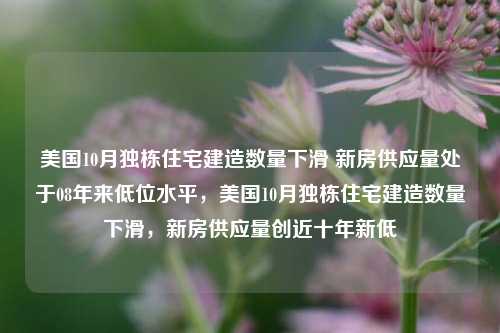 美国10月独栋住宅建造数量下滑 新房供应量处于08年来低位水平，美国10月独栋住宅建造数量下滑，新房供应量创近十年新低-第1张图片-体育新闻