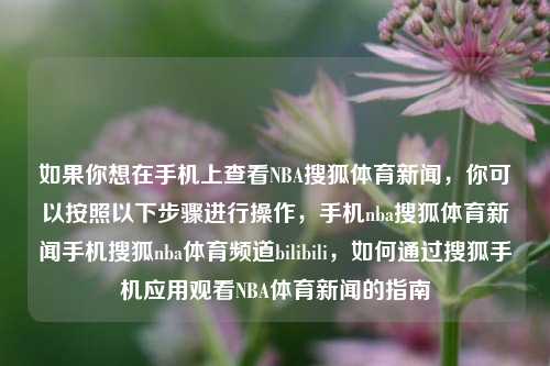 如果你想在手机上查看NBA搜狐体育新闻，你可以按照以下步骤进行操作，手机nba搜狐体育新闻手机搜狐nba体育频道bilibili，如何通过搜狐手机应用观看NBA体育新闻的指南，如何在搜狐手机应用上观看NBA体育新闻的指南-第1张图片-体育新闻