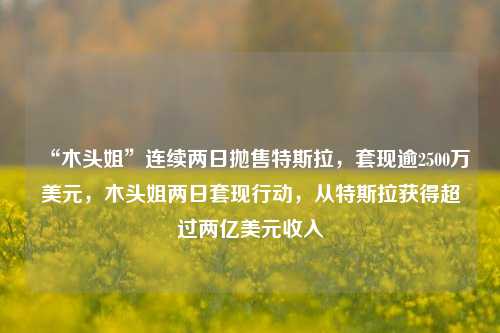 “木头姐”连续两日抛售特斯拉，套现逾2500万美元，木头姐两日套现行动，从特斯拉获得超过两亿美元收入-第1张图片-体育新闻