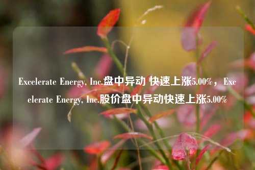 Excelerate Energy, Inc.盘中异动 快速上涨5.00%，Excelerate Energy, Inc.股价盘中异动快速上涨5.00%-第1张图片-体育新闻