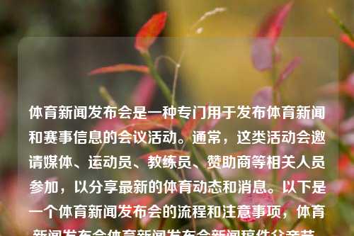 体育新闻发布会是一种专门用于发布体育新闻和赛事信息的会议活动。通常，这类活动会邀请媒体、运动员、教练员、赞助商等相关人员参加，以分享最新的体育动态和消息。以下是一个体育新闻发布会的流程和注意事项，体育新闻发布会体育新闻发布会新闻稿件父亲节，体育新闻发布会，发布新闻，共创未来，体育行业活动注意事项的指导。，体育新闻发布会，共创未来，发布新闻，引领体育行业新动态-第1张图片-体育新闻