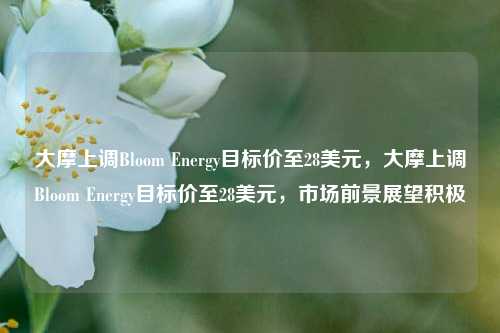 大摩上调Bloom Energy目标价至28美元，大摩上调Bloom Energy目标价至28美元，市场前景展望积极-第1张图片-体育新闻