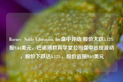 Barnes  Noble Education, Inc盘中异动 股价大跌5.12%报9.64美元，巴诺博教育学堂公司盘中出现波动，股价下跌达5.12%，股价近报9.64美元-第1张图片-体育新闻