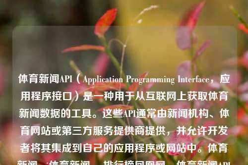 体育新闻API（Application Programming Interface，应用程序接口）是一种用于从互联网上获取体育新闻数据的工具。这些API通常由新闻机构、体育网站或第三方服务提供商提供，并允许开发者将其集成到自己的应用程序或网站中。体育新闻api体育新闻app排行榜凤凰网，体育新闻API与排行靠前的体育新闻应用探究，体育新闻API，排行榜前体育新闻应用的关键接口工具探究-第1张图片-体育新闻