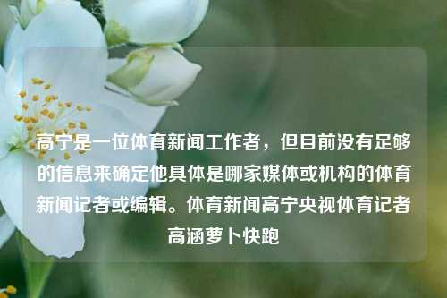 高宁是一位体育新闻工作者，但目前没有足够的信息来确定他具体是哪家媒体或机构的体育新闻记者或编辑。体育新闻高宁央视体育记者高涵萝卜快跑-第1张图片-体育新闻