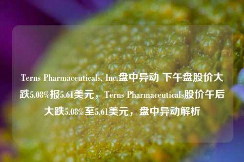 Terns Pharmaceuticals, Inc.盘中异动 下午盘股价大跌5.08%报5.61美元，Terns Pharmaceuticals股价午后大跌5.08%至5.61美元，盘中异动解析-第1张图片-体育新闻