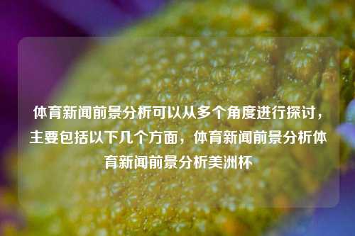 体育新闻前景分析可以从多个角度进行探讨，主要包括以下几个方面，体育新闻前景分析体育新闻前景分析美洲杯-第1张图片-体育新闻