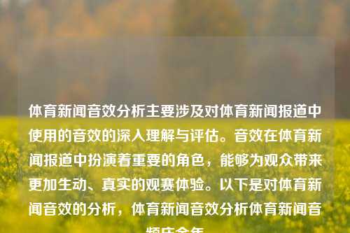 体育新闻音效分析主要涉及对体育新闻报道中使用的音效的深入理解与评估。音效在体育新闻报道中扮演着重要的角色，能够为观众带来更加生动、真实的观赛体验。以下是对体育新闻音效的分析，体育新闻音效分析体育新闻音频庆余年-第1张图片-体育新闻