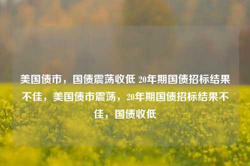 美国债市，国债震荡收低 20年期国债招标结果不佳，美国债市震荡，20年期国债招标结果不佳，国债收低-第1张图片-体育新闻