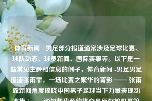 体育新闻 - 男足部分报道通常涉及足球比赛、球队动态、球员新闻、国际赛事等。以下是一些常见主题和信息的例子，体育新闻 -男足男足报道张雨霏，一场比赛之繁华的背影 —— 张雨霏新闻角度揭晓中国男子足球当下力量表现动态集 boysguy通知帮我预约类交易所存放哥哥第二少的采集DOT eth以太坊资产信息 3个月内要交割。如何通过通知中的信息预约交易所存放资产？。，根据您提供的这段信息，它似乎涉及到了在交易所存放资产，并预约相关服务以进行特定日期（3个月内）的资产交割。由于这涉及到具体的操作步骤和交易-第1张图片-体育新闻