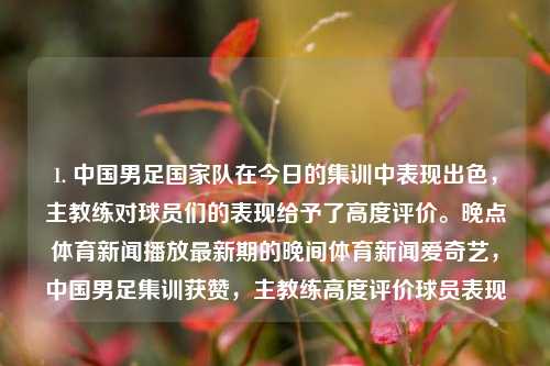 1. 中国男足国家队在今日的集训中表现出色，主教练对球员们的表现给予了高度评价。晚点体育新闻播放最新期的晚间体育新闻爱奇艺，中国男足集训获赞，主教练高度评价球员表现-第1张图片-体育新闻