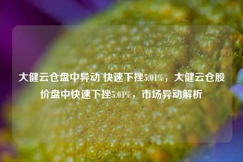 大健云仓盘中异动 快速下挫5.01%，大健云仓股价盘中快速下挫5.01%，市场异动解析-第1张图片-体育新闻