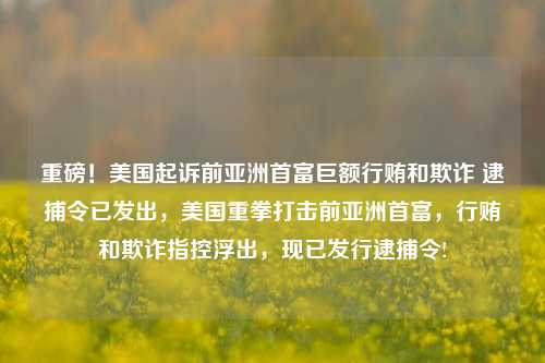 重磅！美国起诉前亚洲首富巨额行贿和欺诈 逮捕令已发出，美国重拳打击前亚洲首富，行贿和欺诈指控浮出，现已发行逮捕令!-第1张图片-体育新闻