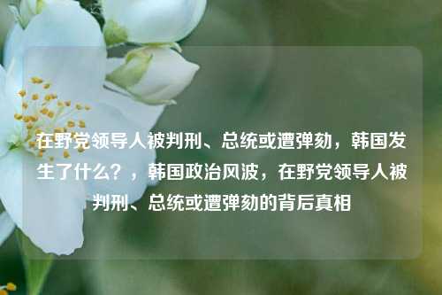 在野党领导人被判刑、总统或遭弹劾，韩国发生了什么？，韩国政治风波，在野党领导人被判刑、总统或遭弹劾的背后真相-第1张图片-体育新闻