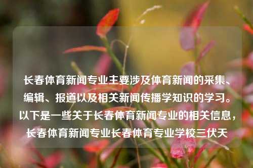 长春体育新闻专业主要涉及体育新闻的采集、编辑、报道以及相关新闻传播学知识的学习。以下是一些关于长春体育新闻专业的相关信息，长春体育新闻专业长春体育专业学校三伏天-第1张图片-体育新闻