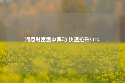 海恩时富盘中异动 快速拉升5.12%-第1张图片-体育新闻