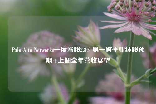 Palo Alto Networks一度涨超2.8% 第一财季业绩超预期+上调全年营收展望-第1张图片-体育新闻